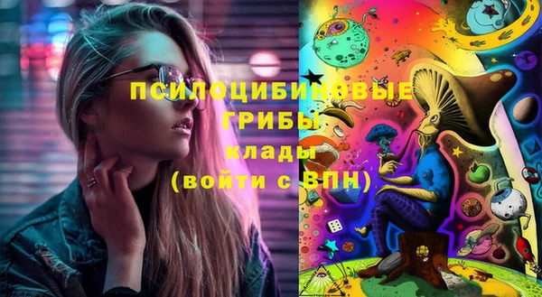 MDMA Новозыбков
