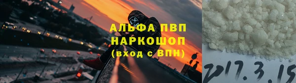 индика Нефтекумск