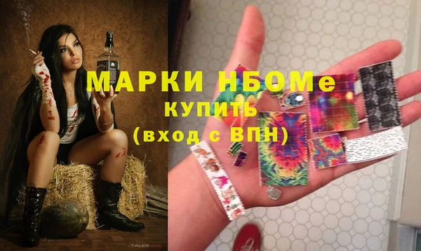 индика Нефтекумск