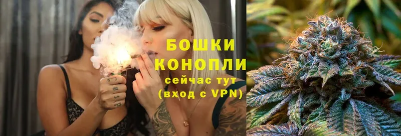 MEGA как зайти  Нестеров  Канабис OG Kush 